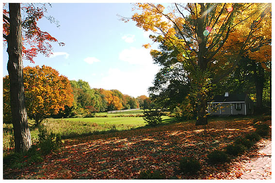 Reproduction Colonial View